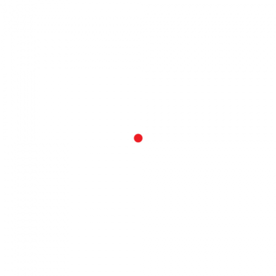 TRIJICON Point rouge "MRO" 2 MOA - 51103467