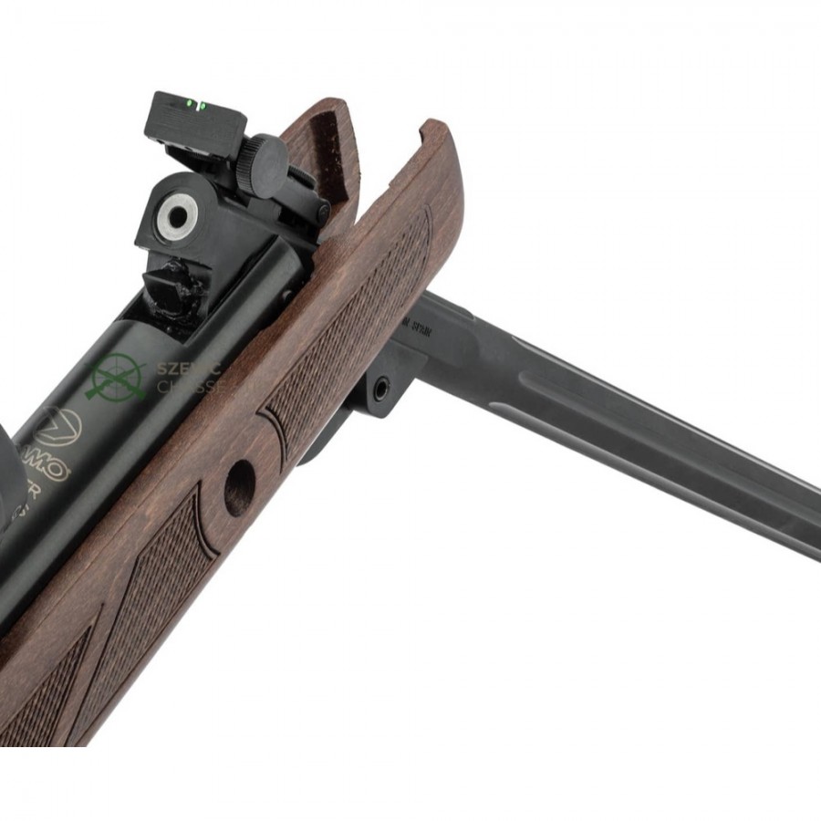 GAMO Pack Carabine à plomb "Hunter 440 AS" 4.5, puissance 19.9 joules + lunette 3-9x40 WR